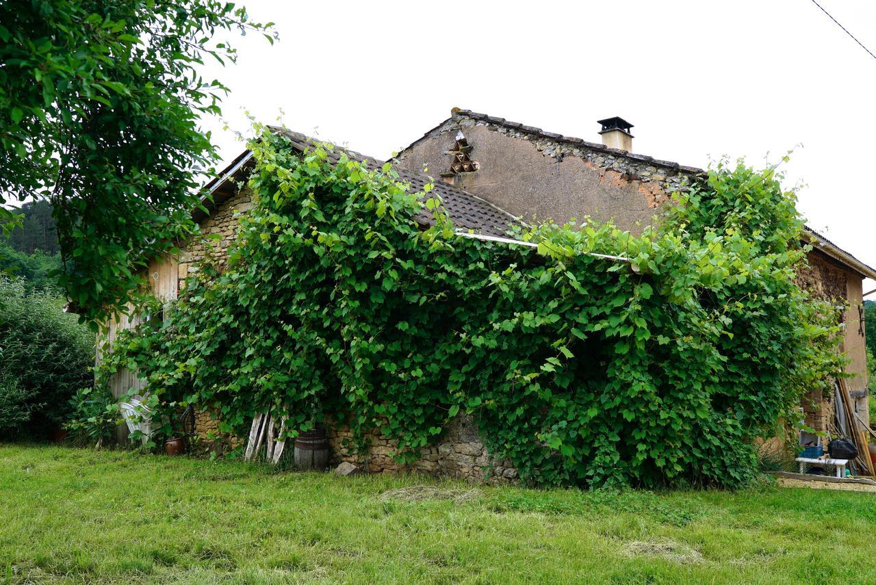 La Prairie Villa Siorac-en-Périgord Екстериор снимка